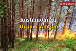 Kastamonu’da Orman Yangını